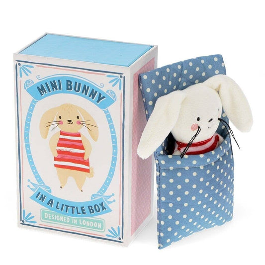 Mini Bunny In A Little Box