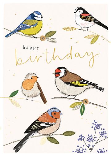 Paperlink - Birds Birthday Card - ENF004