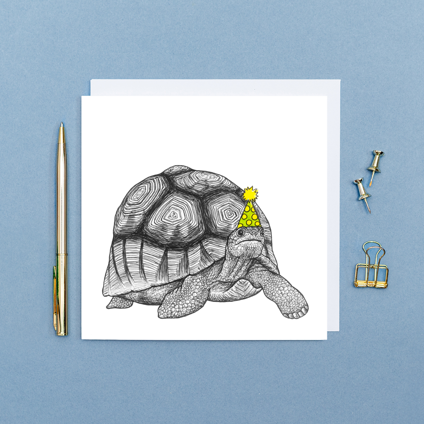 Animal Birthday Card - Party Tortoise