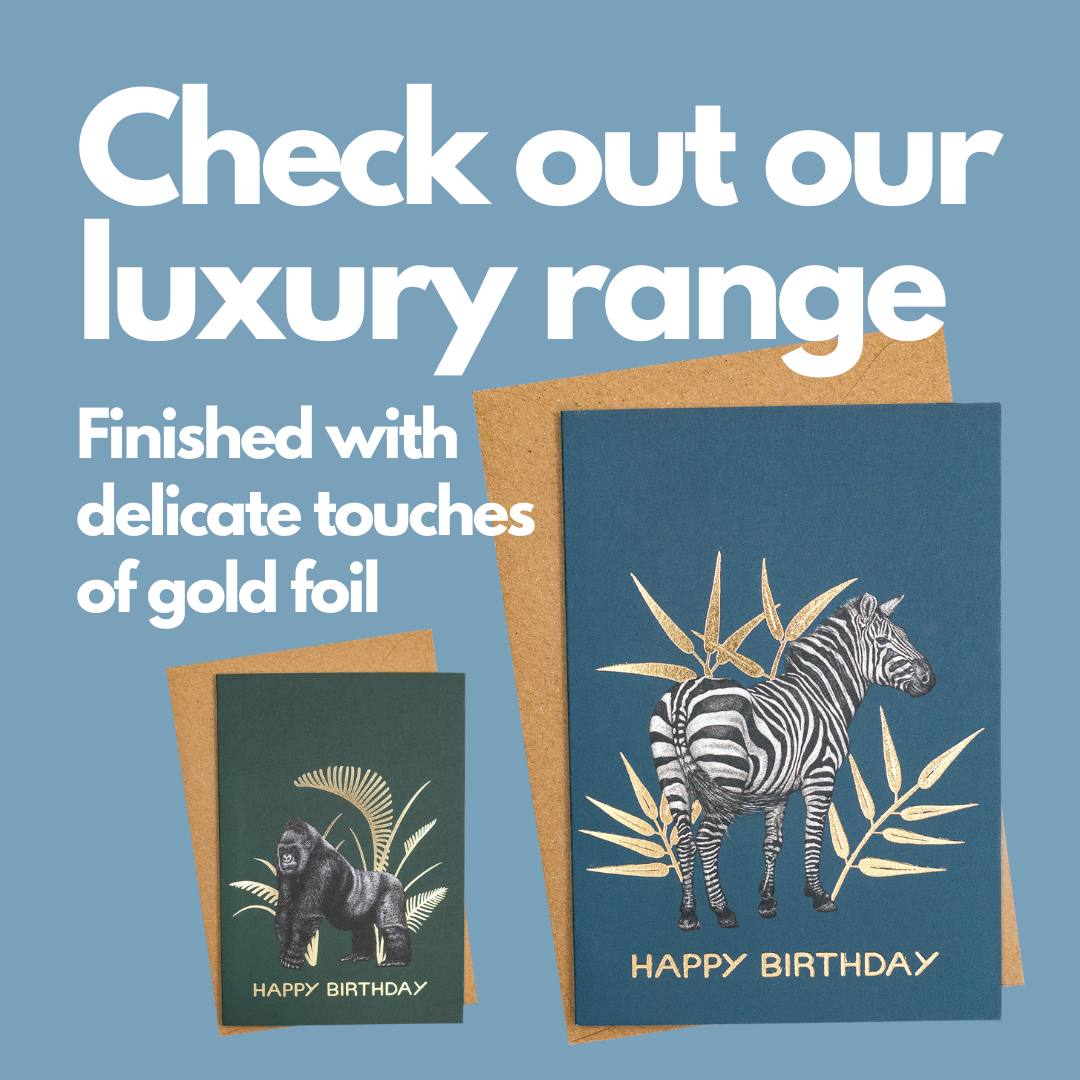 Animal Birthday Card - Animal Kingdom