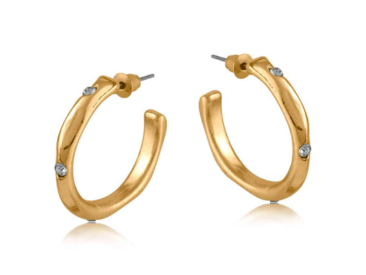 Pamela encrusted organic shape hoop earrings - gold