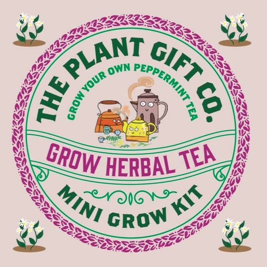 Herbal Tea. Eco Mini Grow-Kit Peppermint