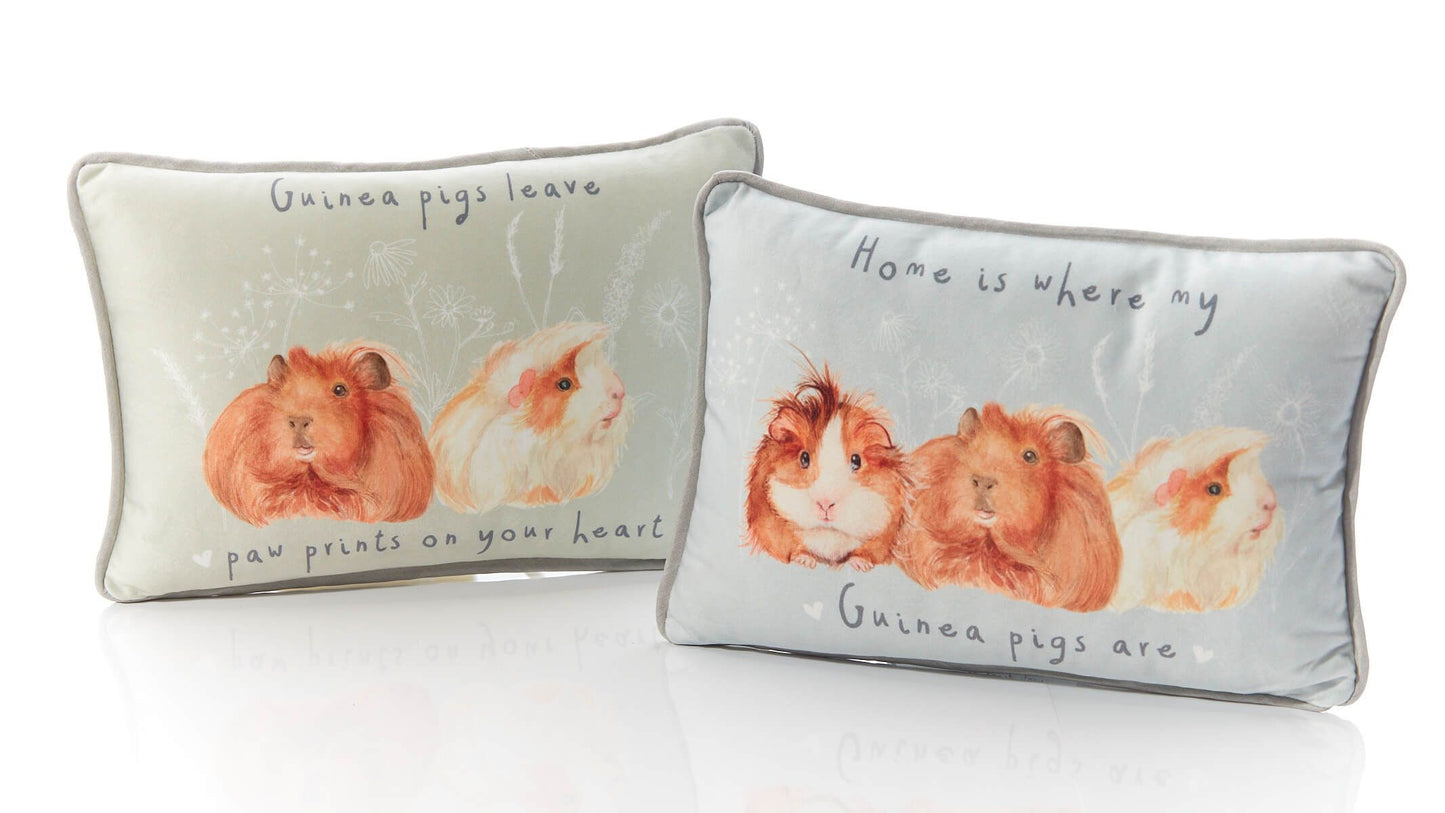 Langs - Guinea Pig Cushion