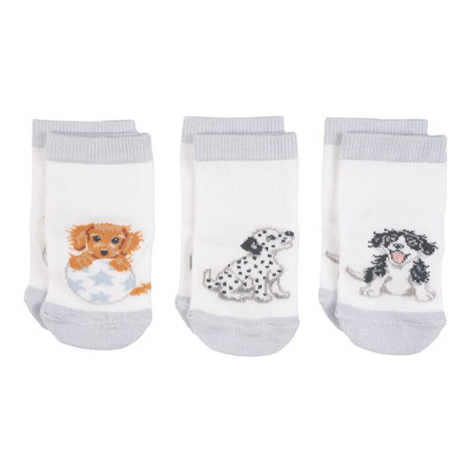 ‘Little Paws’ Dog Baby Socks