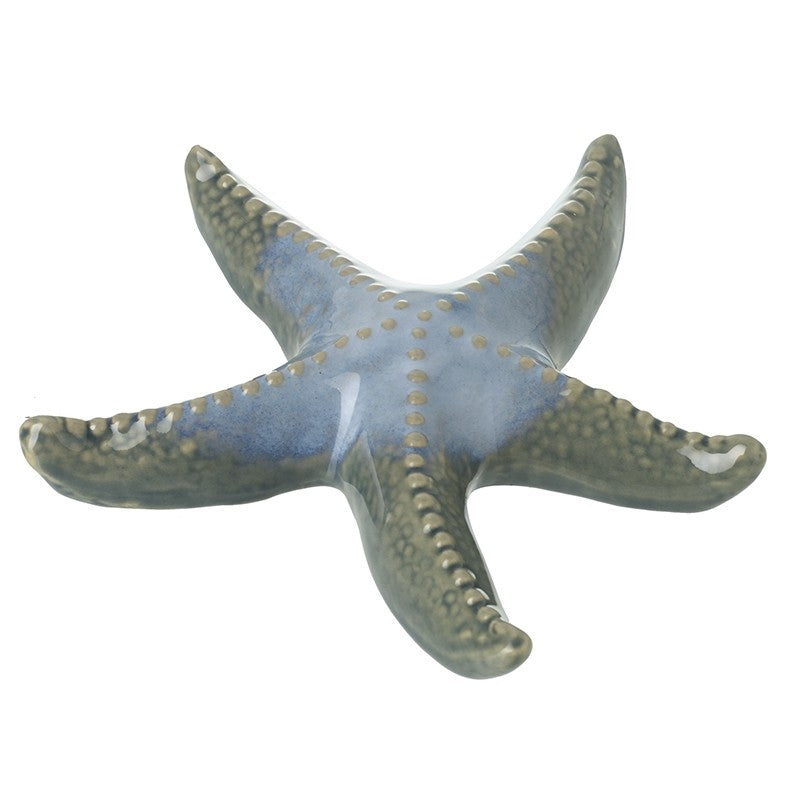 Porcelain Star Fish