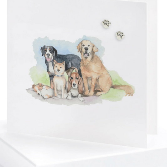 Boxed Dogs Silver Earring Card