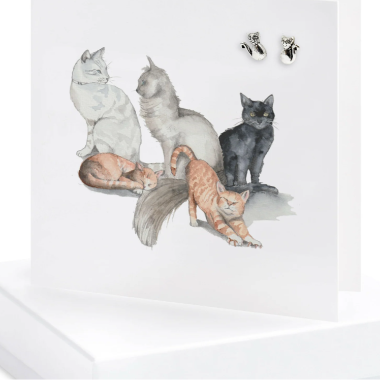 Boxed Cats Silver Earring Card