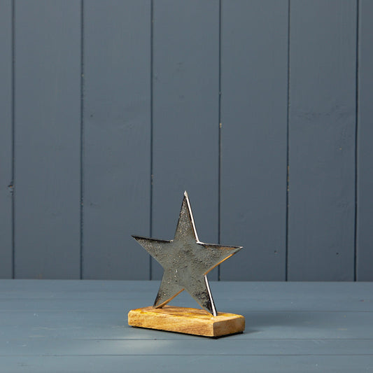 Silver Star on Base (15cm)