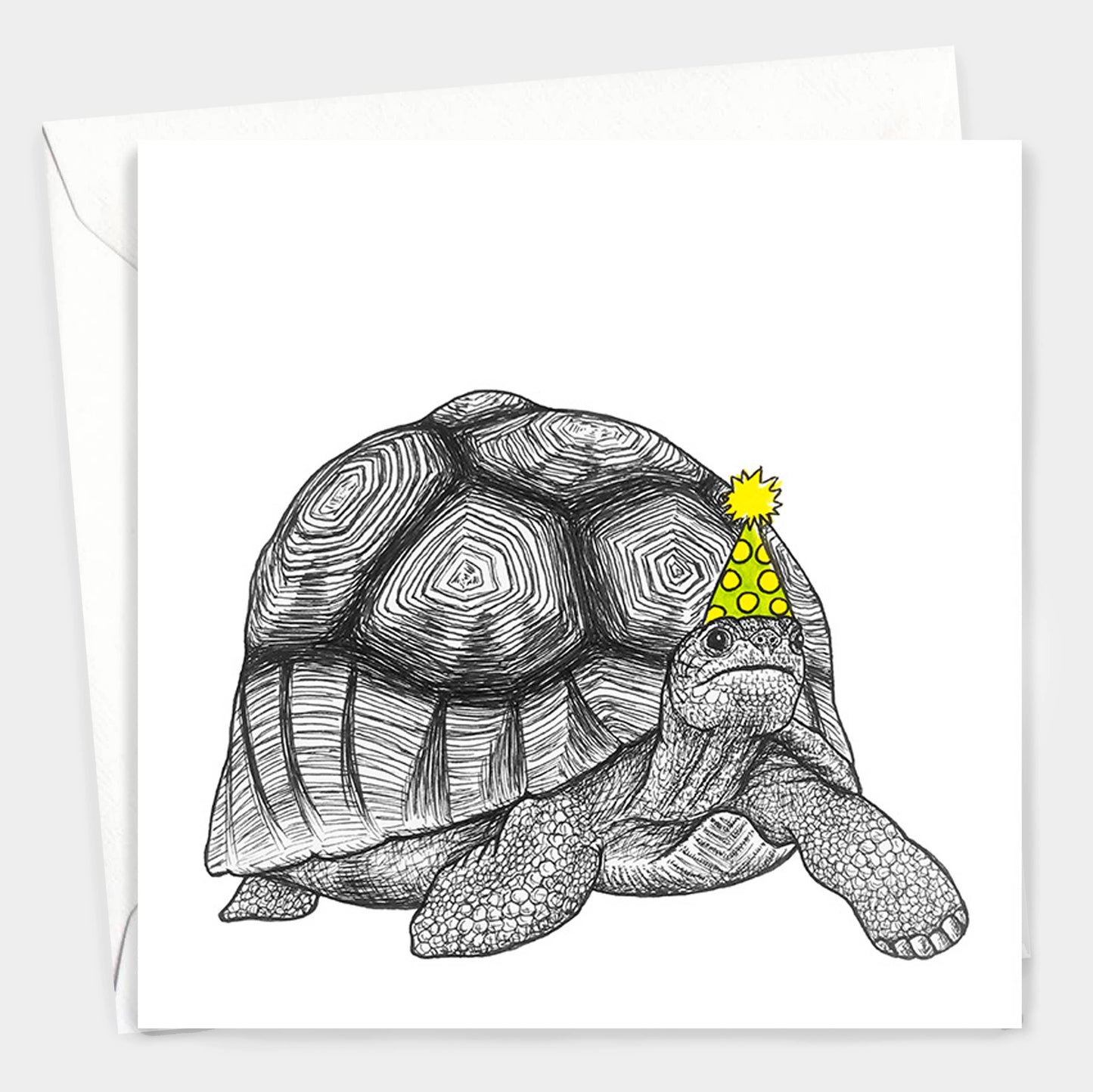 Animal Birthday Card - Party Tortoise