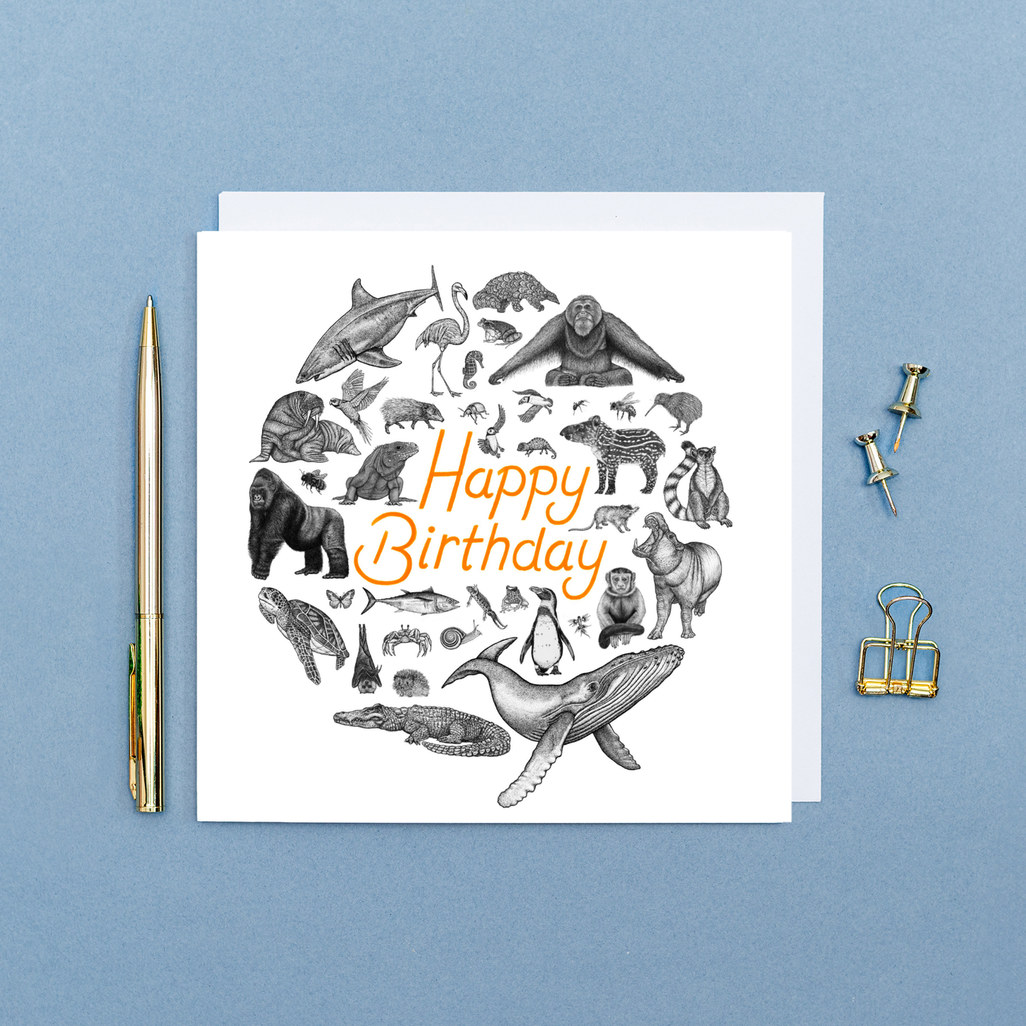 Animal Birthday Card - Animal Kingdom