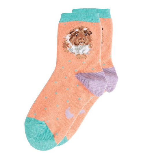 'Grinny Pig' Guinea Pig Children's Socks