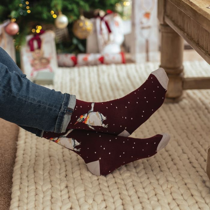 Wrendale - Christmas Penguin Men's Socks